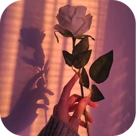 Aesthetic Wallpaper for Girls